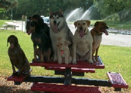Group Stay